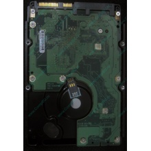 HP 454228-001 146Gb 15k SAS HDD (Ачинск)