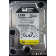 НЕРАБОЧИЙ жесткий диск 1Tb WD RE3 WD1002FBYS (Ачинск)