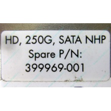 HP 250G 7.2k 432337-001/ 399699-001 / 397377-004 SATA HDD (Ачинск)