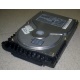 Жесткий диск 18.4Gb Quantum Atlas 10K III U160 SCSI (Ачинск)