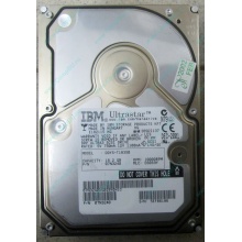 Жесткий диск 18.2Gb IBM Ultrastar DDYS-T18350 Ultra3 SCSI (Ачинск)