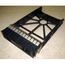 3.5" заглушки для серверов HP (Ачинск)