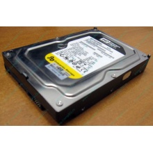 Жесткий диск 160Gb WD WD1602ABKS SATA (Ачинск)