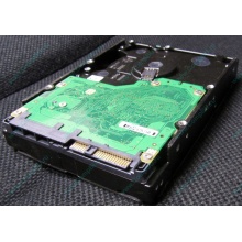Жесткий диск 600Gb 15k Dell 9FN066-008 6G SAS ( Seagate Cheetach ST3600057SS 15K.7) - Ачинск