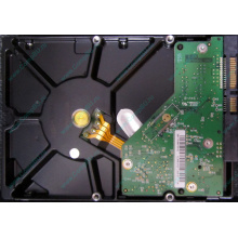 Б/У жёсткий диск 1Tb Western Digital WD10EVVS Green (WD AV-GP 1000 GB) 5400 rpm SATA (Ачинск)