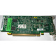 Видеокарта Dell ATI-102-B17002(B) зелёная 256Mb ATI HD2400 PCI-E (Ачинск)