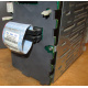 HP 365664-001 кабель SCSI для корзины 373108-001 / 359719-001 HP ML370G4 (Ачинск)