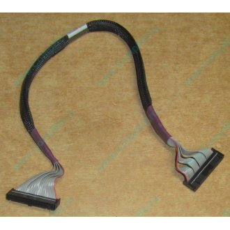 FDD-кабель HP 271946-006 для HP ML370 G3 G4 (Ачинск)