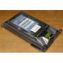 Жёсткий диск 146.8Gb HP 365695-008 404708-001 BD14689BB9 256716-B22 MAW3147NC 10000 rpm Ultra320 Wide SCSI купить в Ачинске, цена (Ачинск).