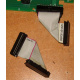 6017B0045701 Шлейф 24pin для Intel C74974-401 T0043401-B01 корпуса SR2400 (Ачинск)