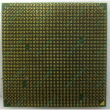 Процессор AMD Sempron 3000+ (1.6GHz) SDA3000IAA3CN s.AM2 (Ачинск)